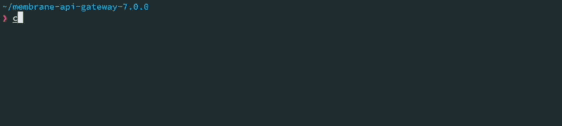 Animated demo of Membrane API Gateway