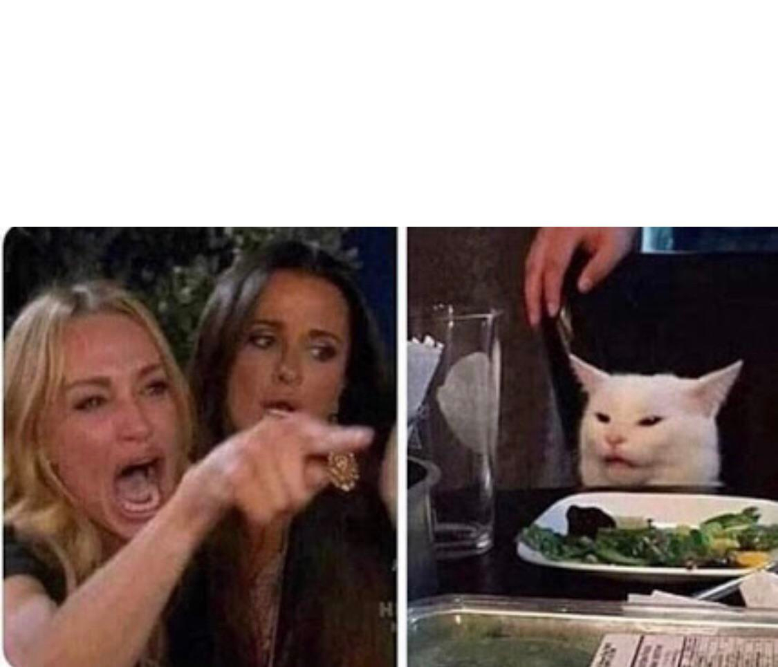 Woman Yelling At A Cat Meme Template Generator: Free Download and Add Caption