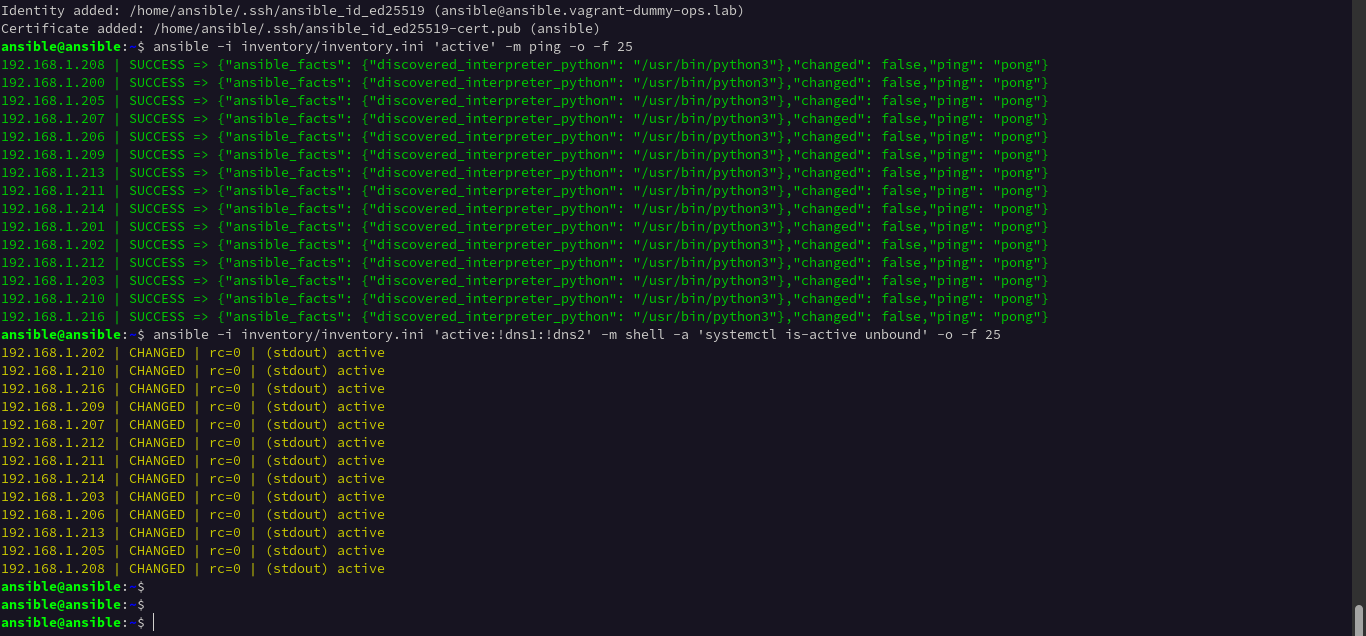 Ansible ping across lab nodes