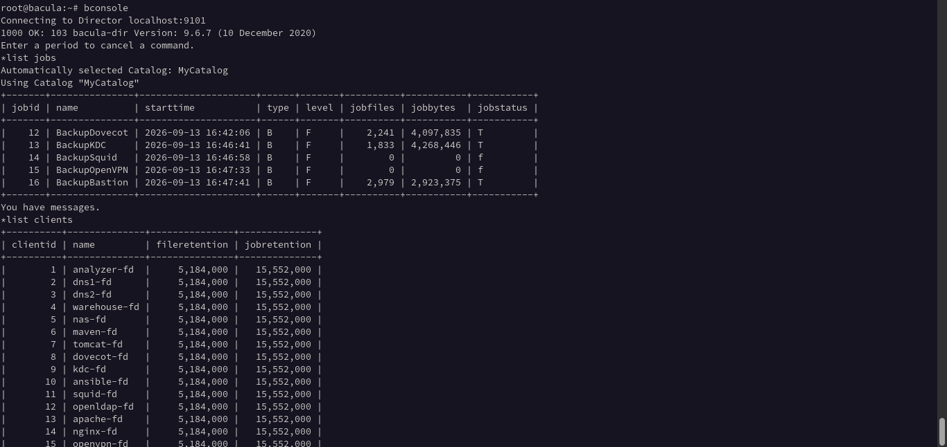 Bacula backup console