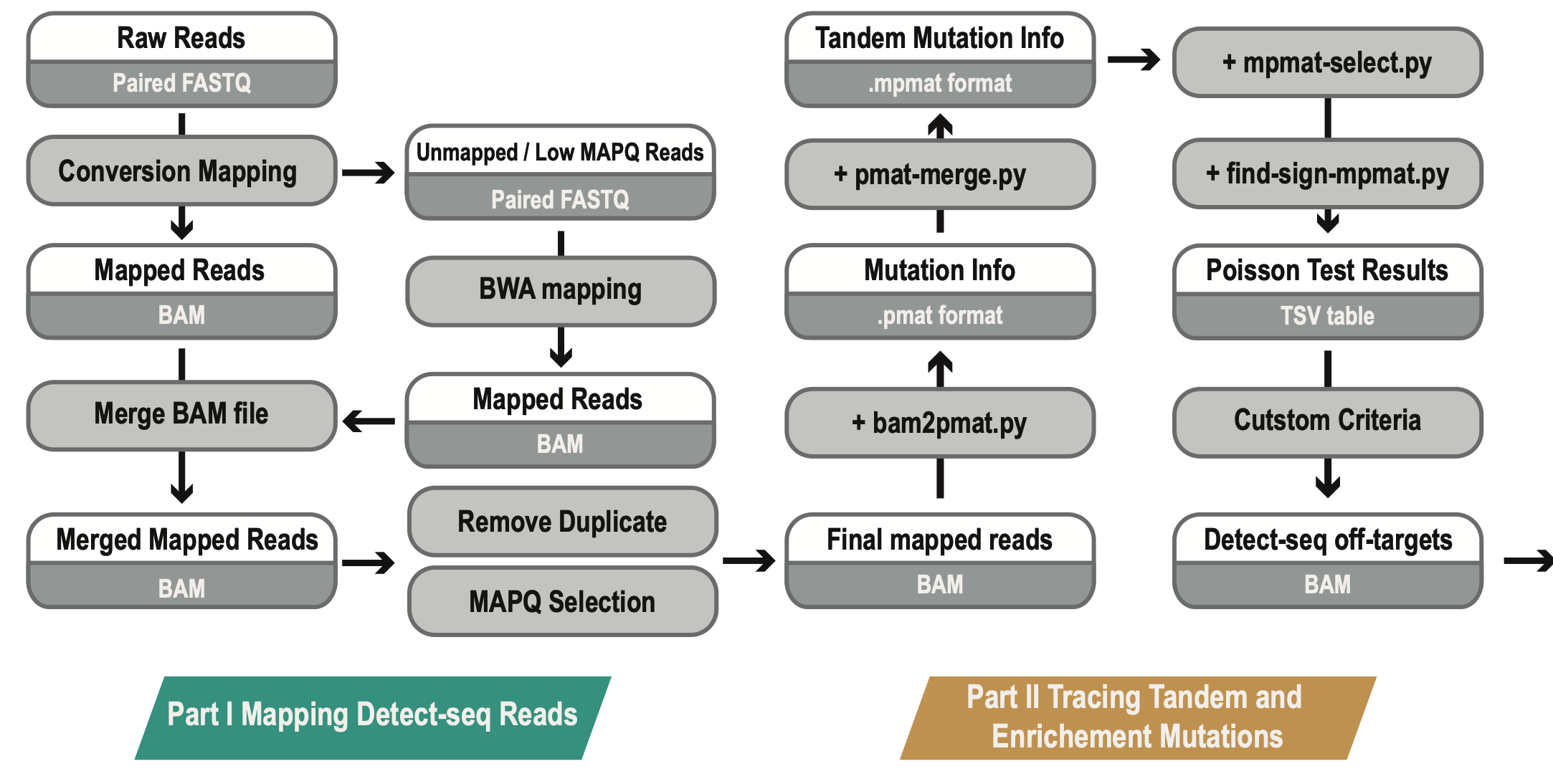 A Schematic diagram