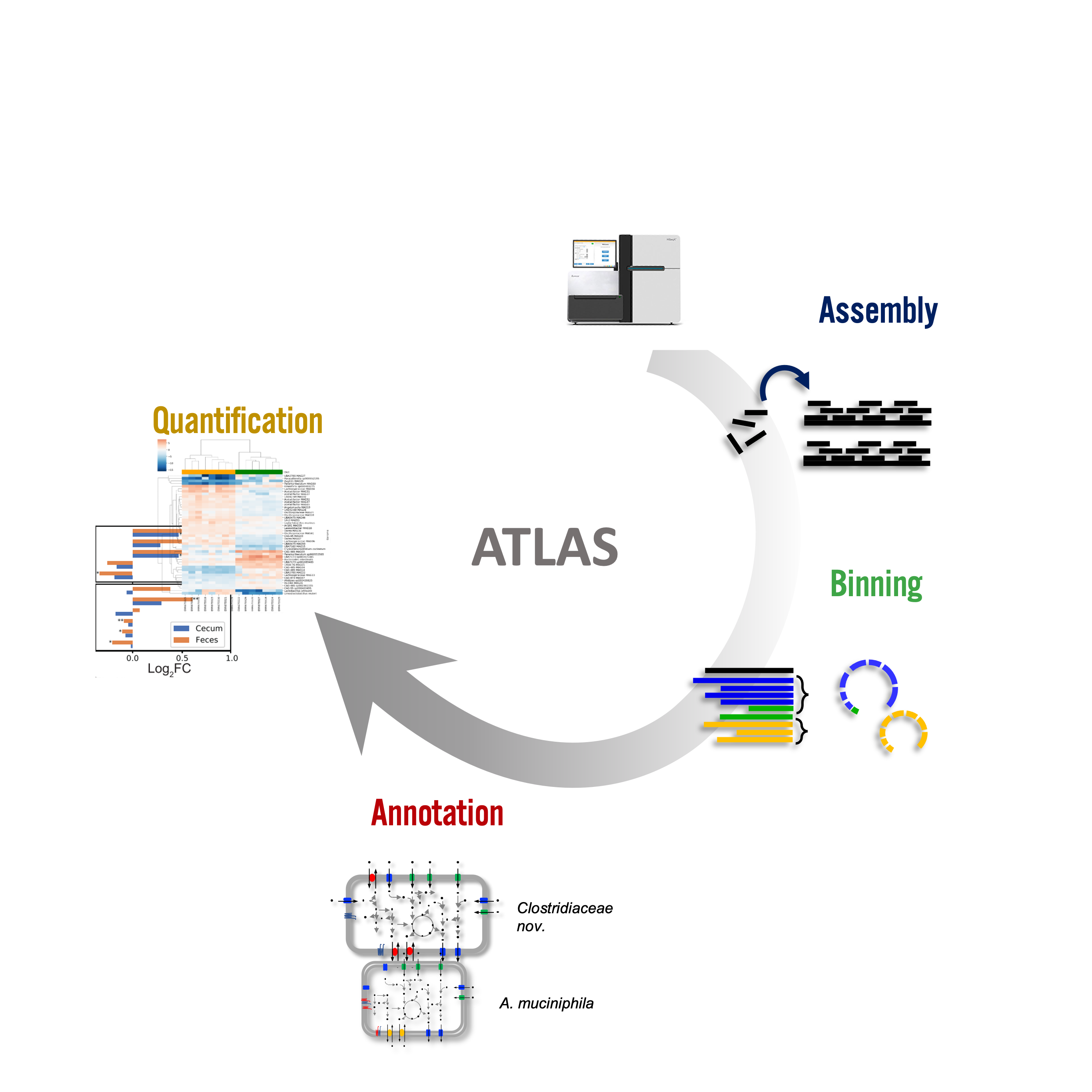 Evaluation of taxonomic classification and profiling methods for long-read  shotgun metagenomic sequencing datasets, BMC Bioinformatics