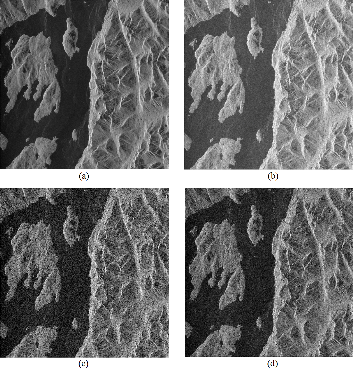 View by ASFVIEW, Document Viewer, Matlab, Python
