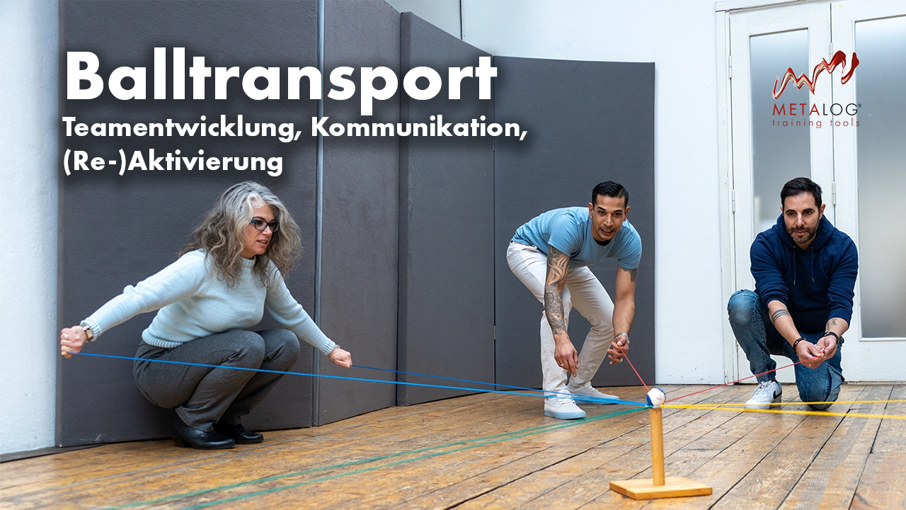 https://raw.githubusercontent.com/metaloggmbh/Videos-for-Website/main/Balltransport.png