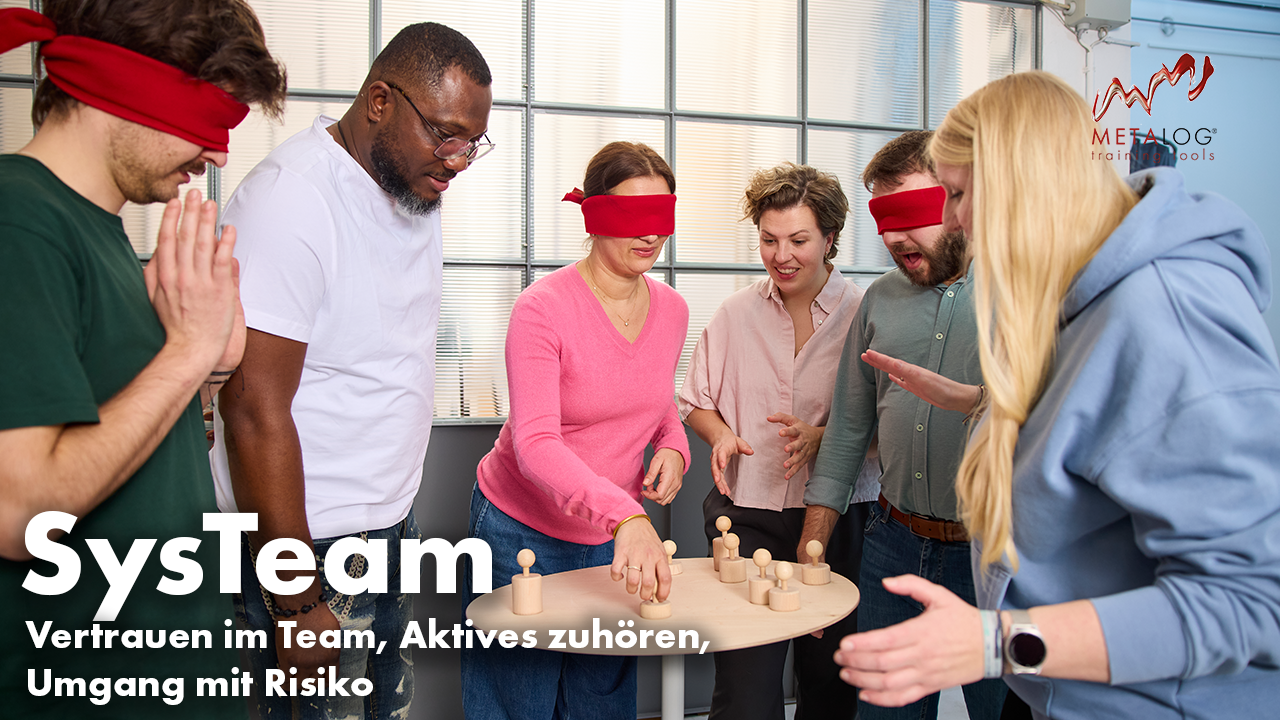 https://raw.githubusercontent.com/metaloggmbh/Videos-for-Website/main/SysTeam.png