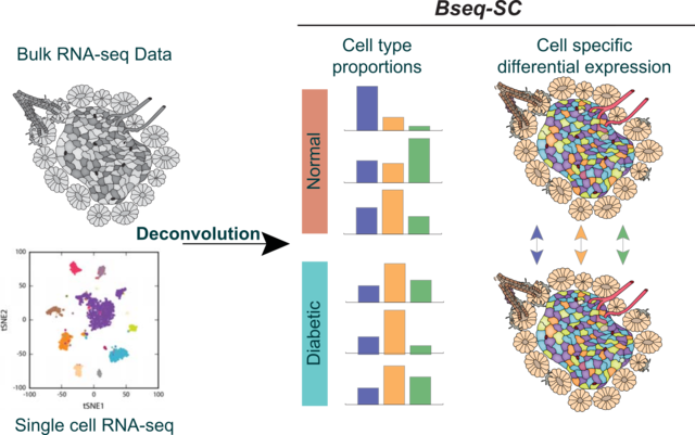 Bseq-SC pipeline