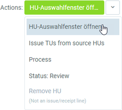 Fig.: Quick-Action 'Open HU Selection Window'