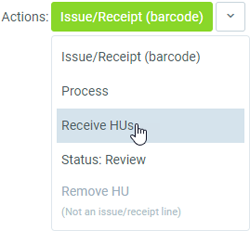 Abb.: Quick-Action 'Receive HUs'