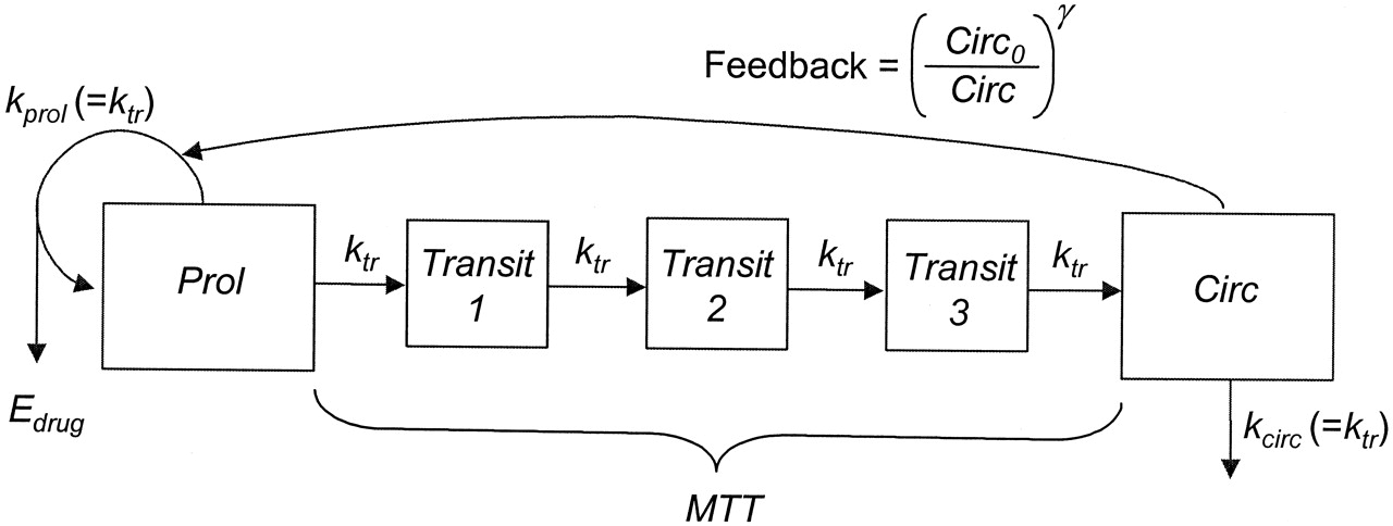 Figure 1: Friberg-Karlsson semi-mechanistic Model.