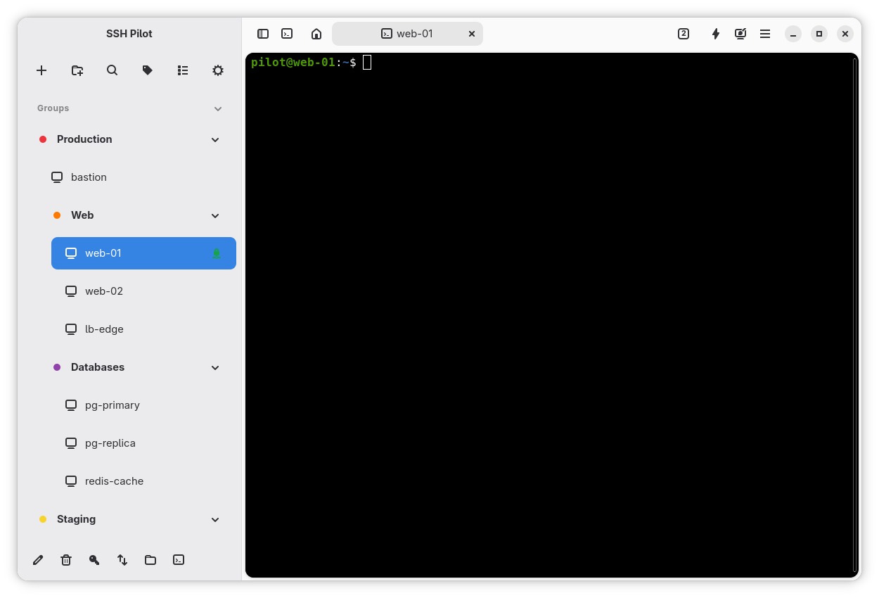 Connection sidebar and terminal