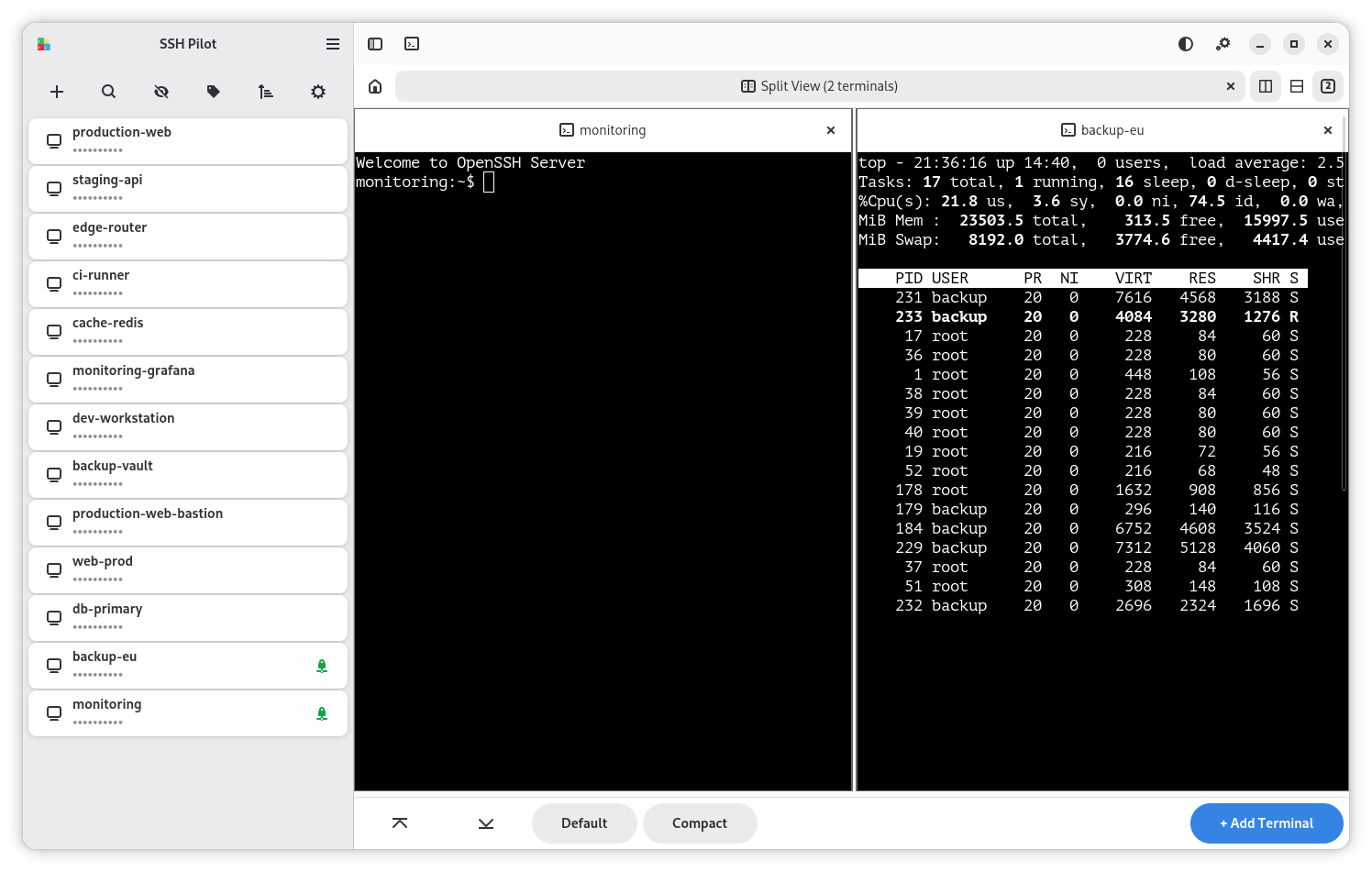 Split view with multiple terminals