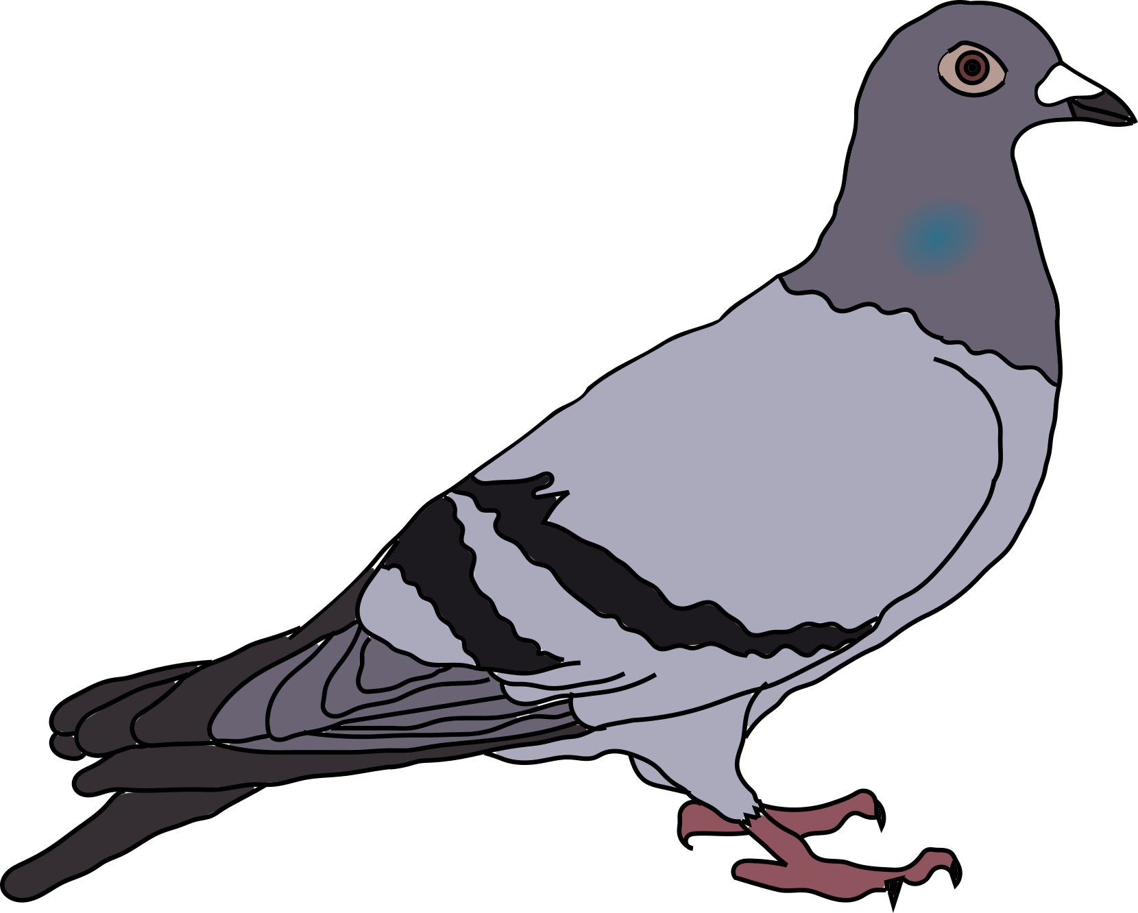 A drawing of a pigeon that Mason made.