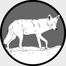 A line drawing of a coyote.