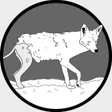 A line drawing of a coyote with mange.