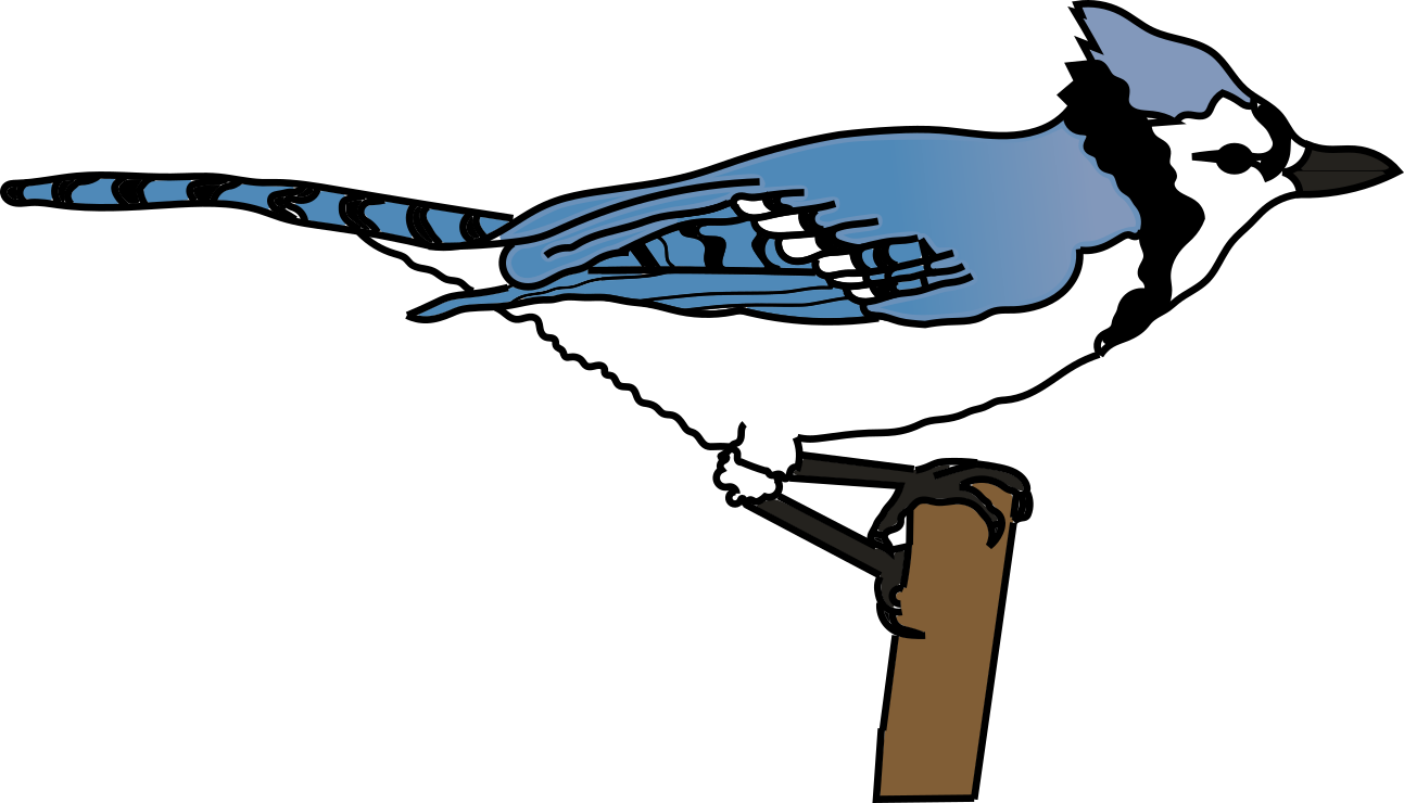 A drawing of a blue jay that Mason made.