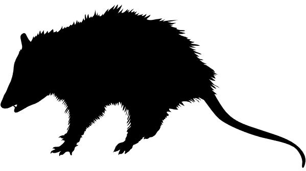 A silhouette of an opossum.