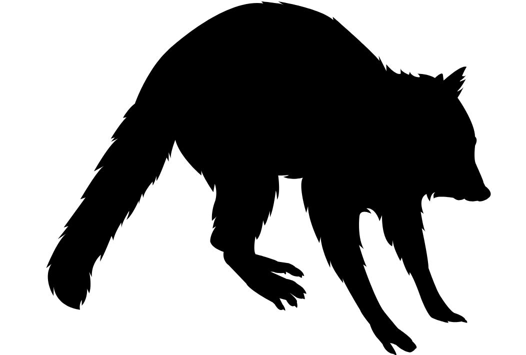 A silhouette of a raccoon.