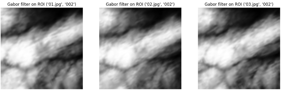 Extracted ROI with Gabor Filter Applied