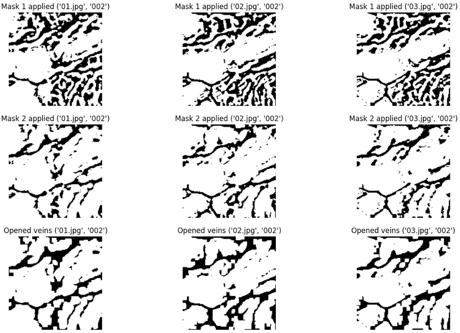 Mask Application and Morphological Opening