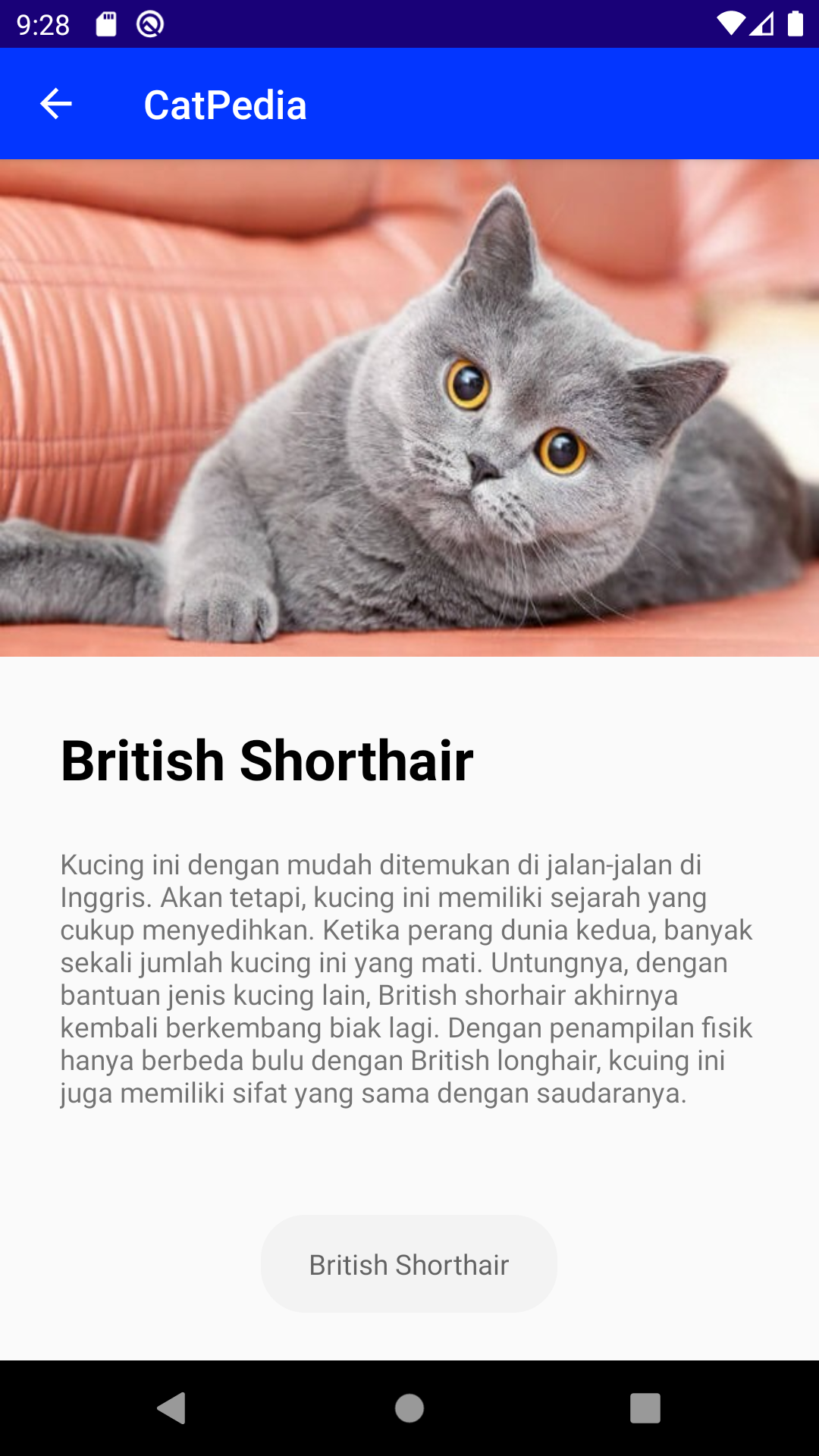 View Belajar Membuat Game Android Untuk Pemula Images