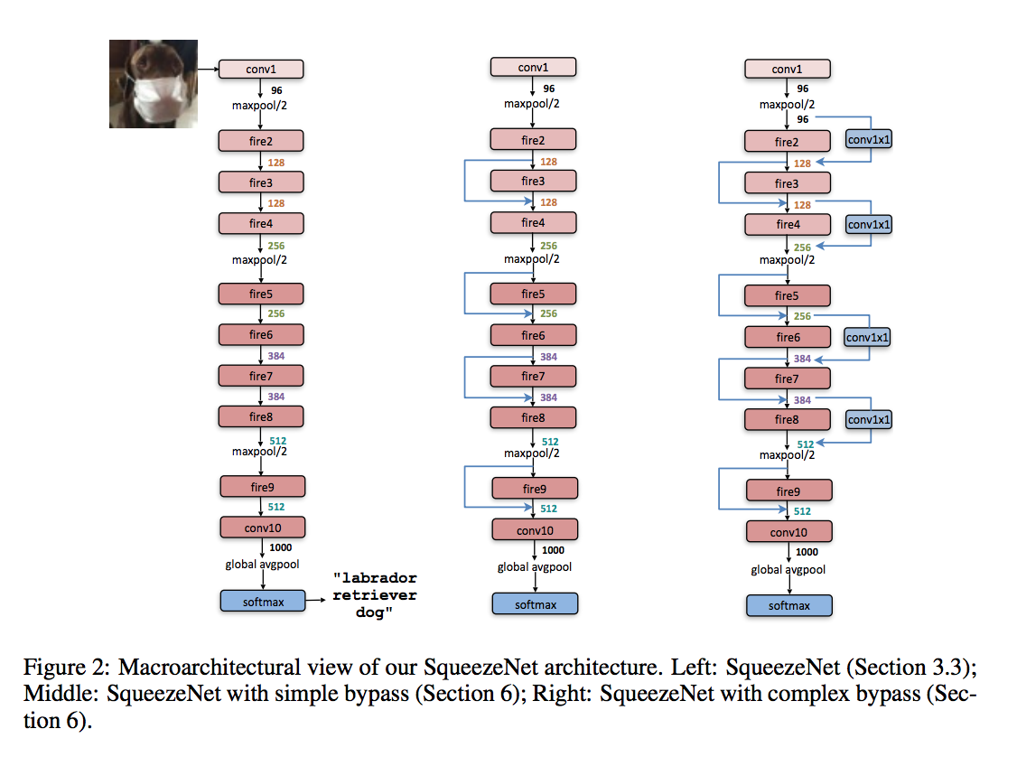 Squeezenet architecture