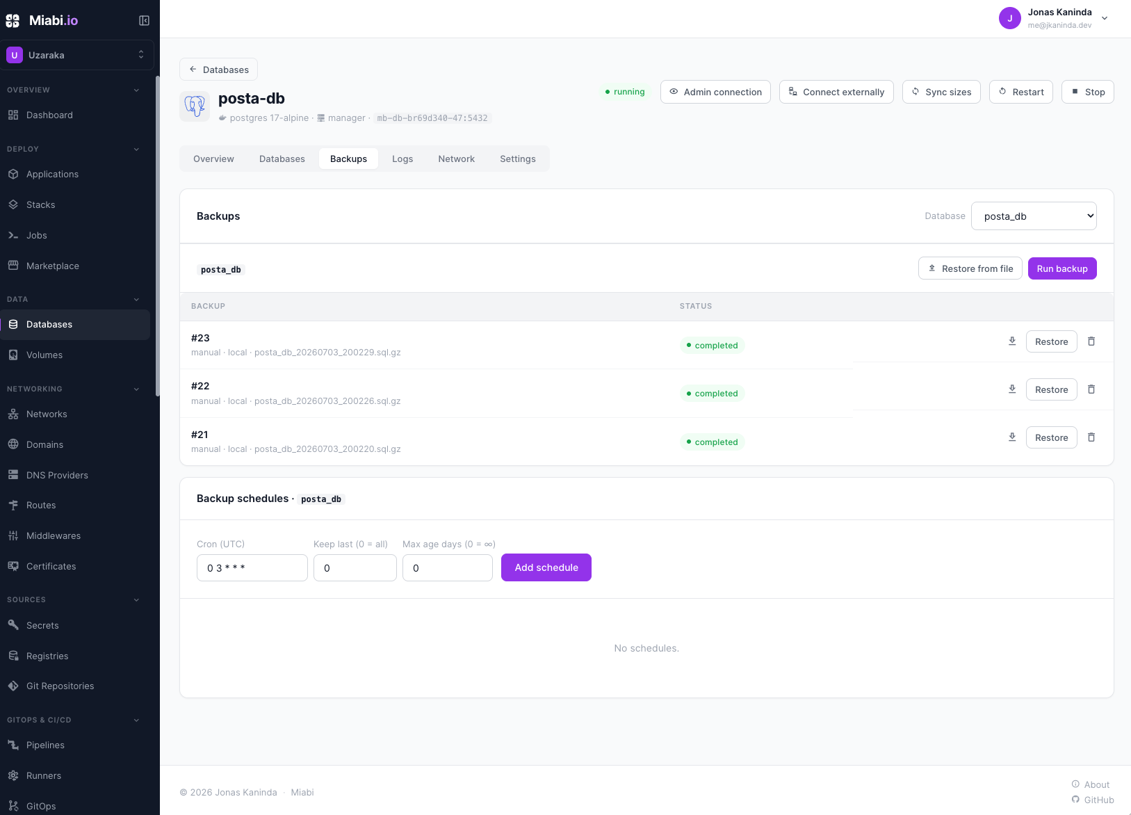 Scheduled and manual backups