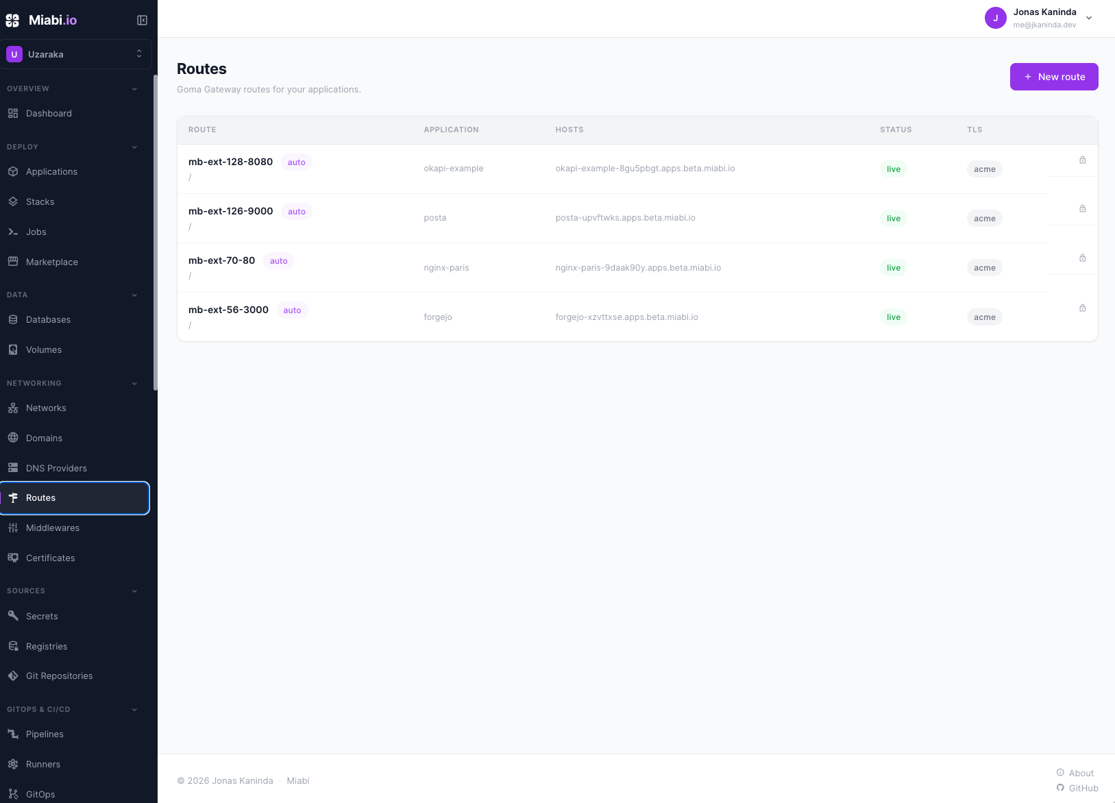 Domains, routes, and automatic TLS