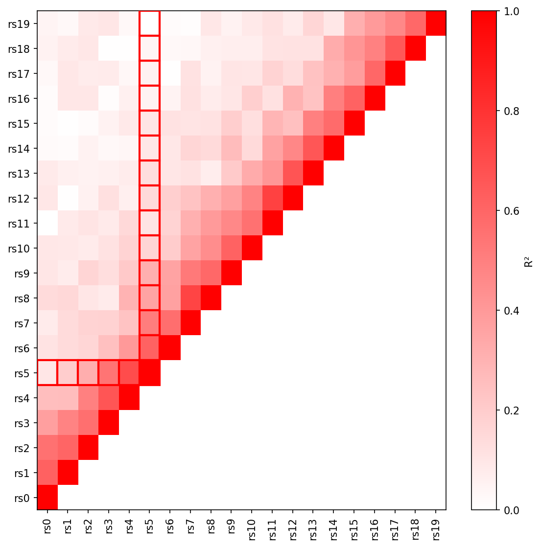 Example LD heatmap