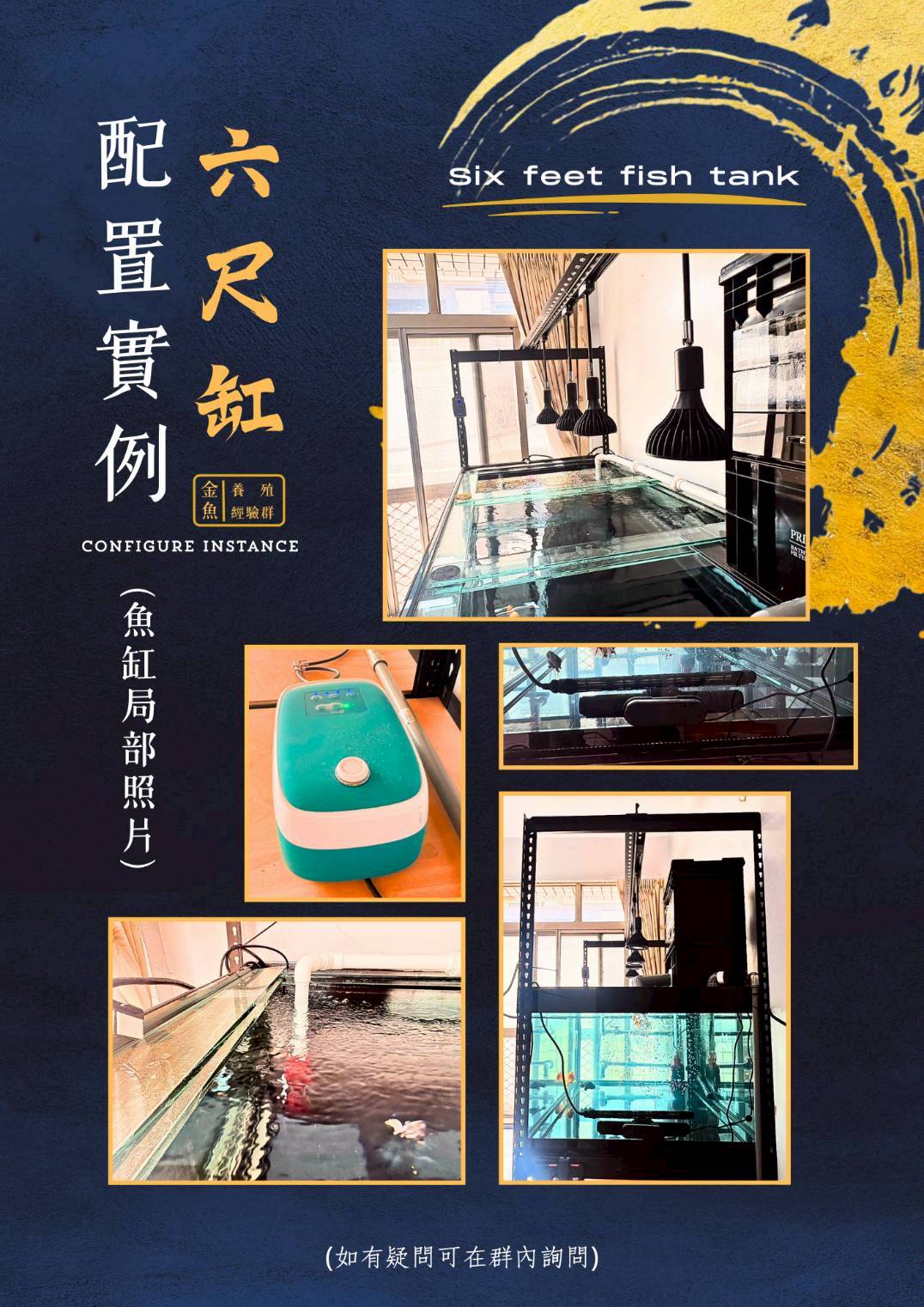 六尺缸配置實例2