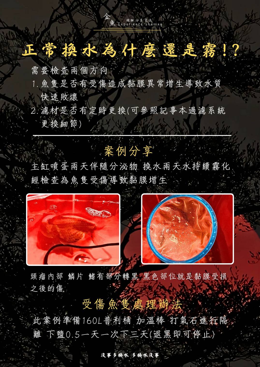 換水還會霧示意圖