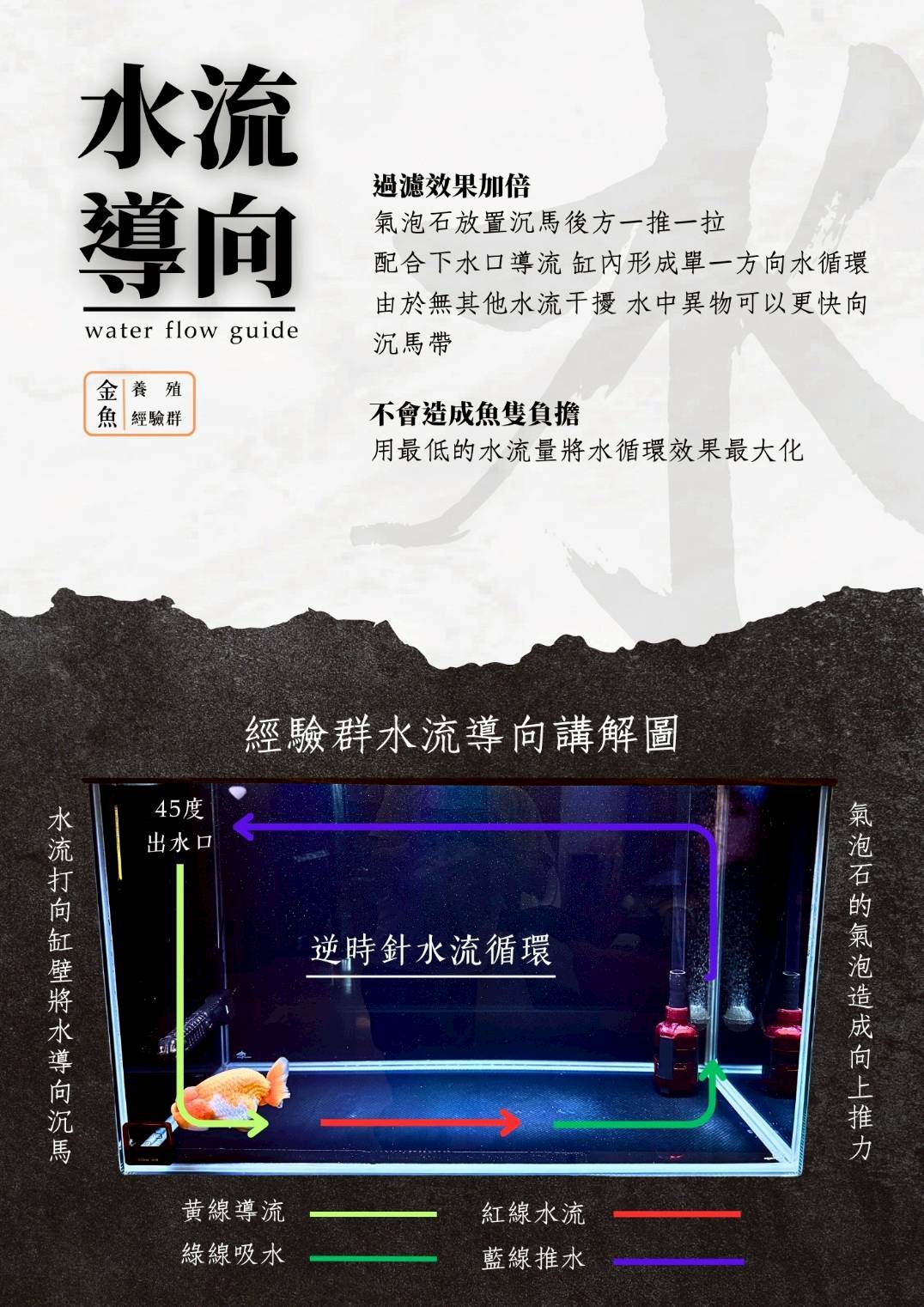 過濾與水流導向示意圖