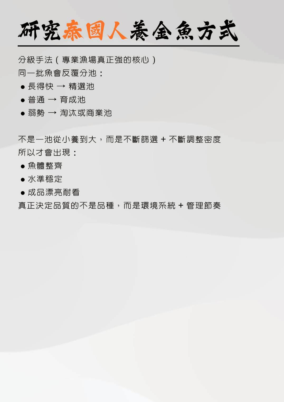 泰國金魚漁場實景4