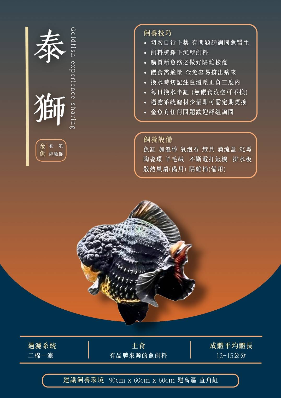 獅頭金魚