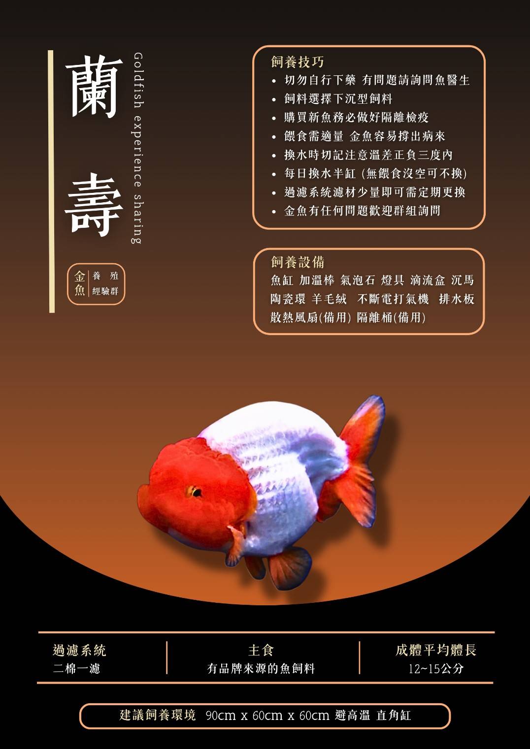 蘭壽金魚