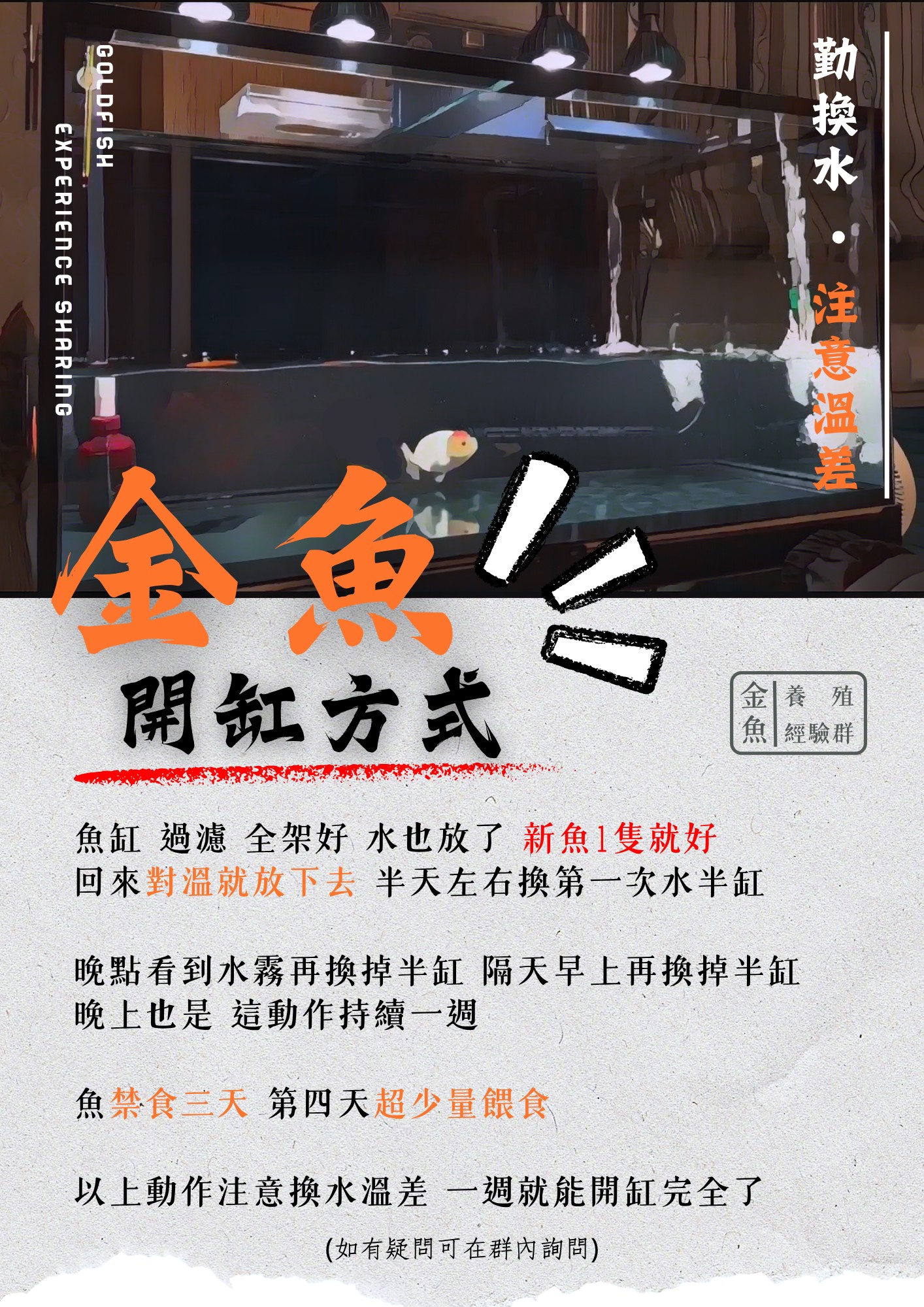 金魚開缸建議方式