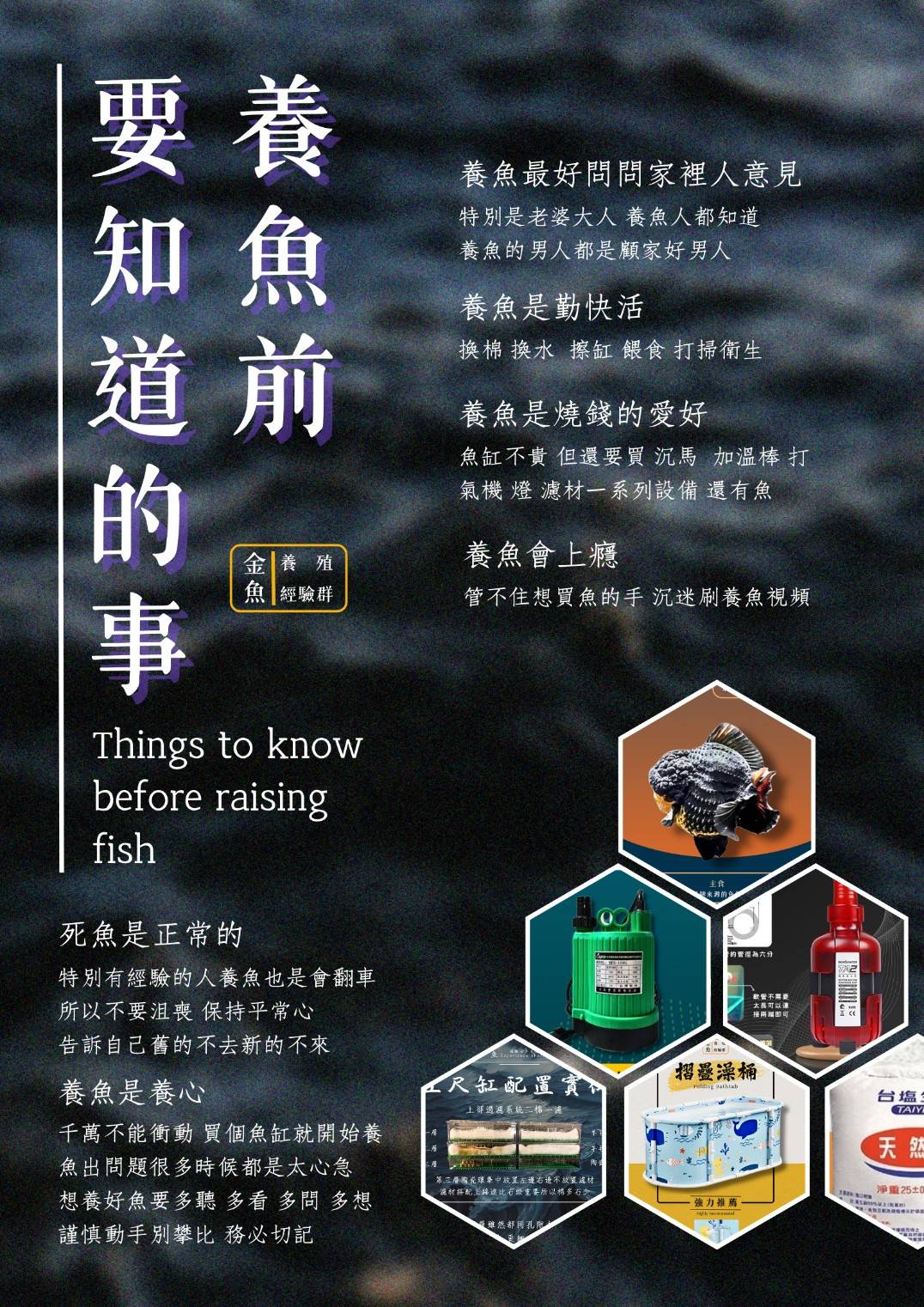 養魚前要知道的事