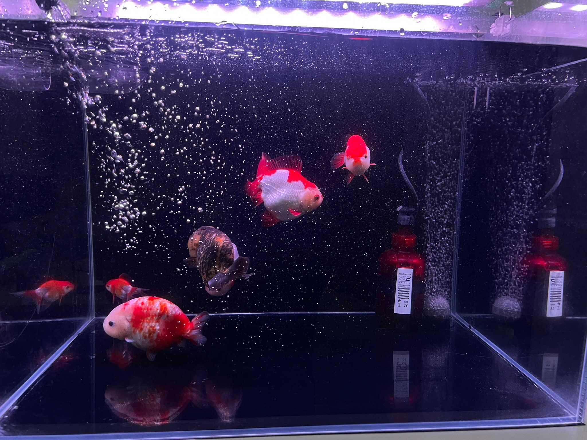 步驟1 清洗缸壁