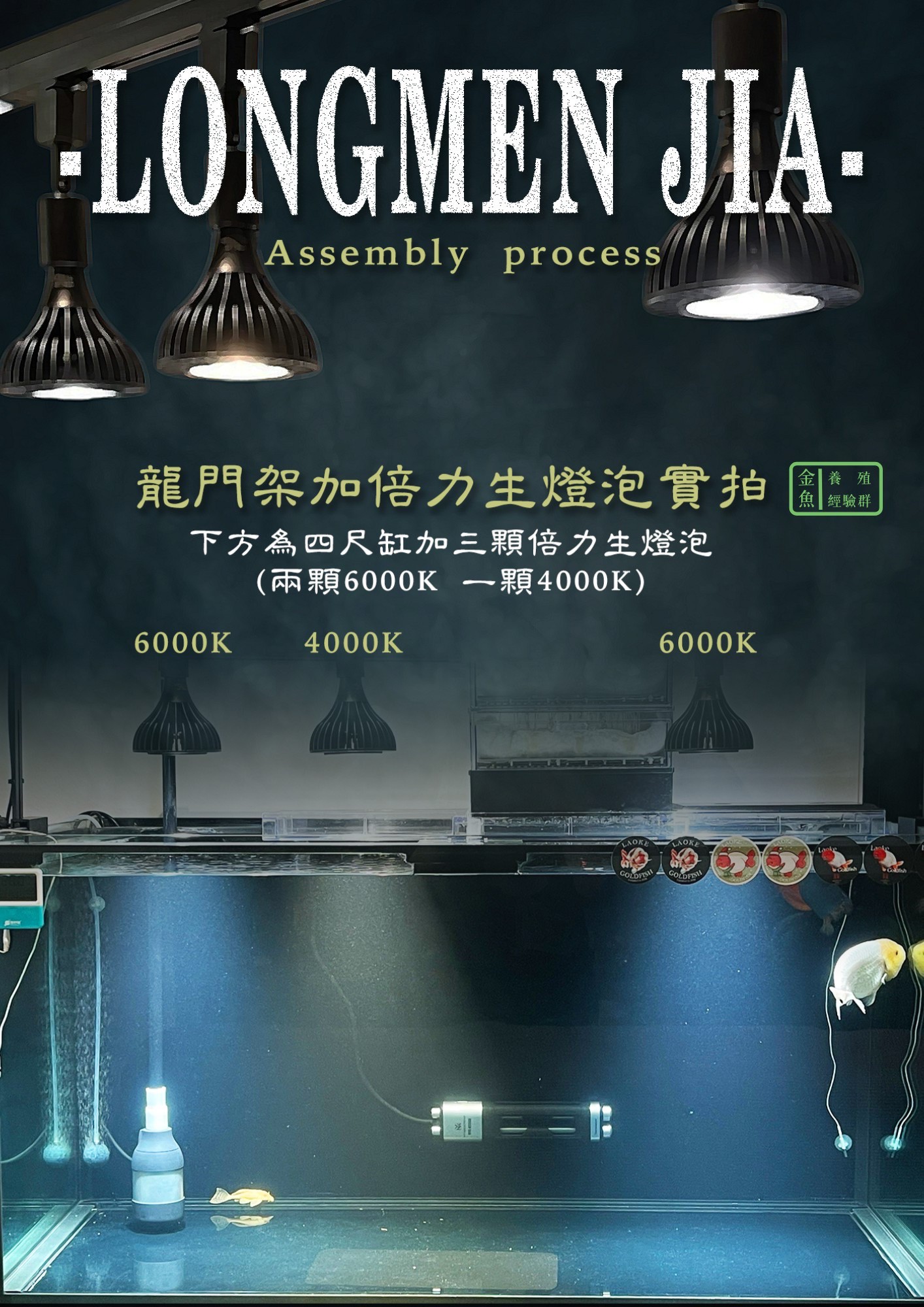 龍門架加倍力生燈泡實拍