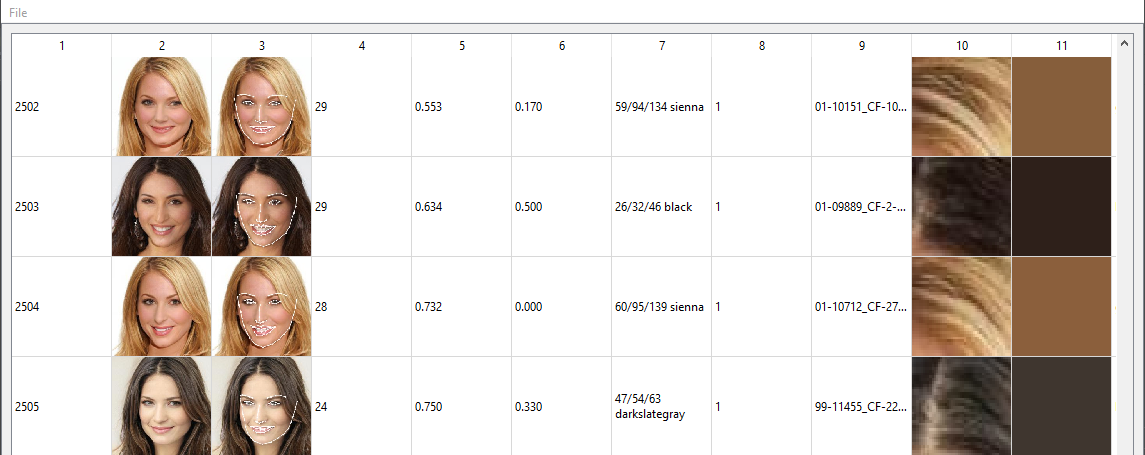 Dataset Explorer