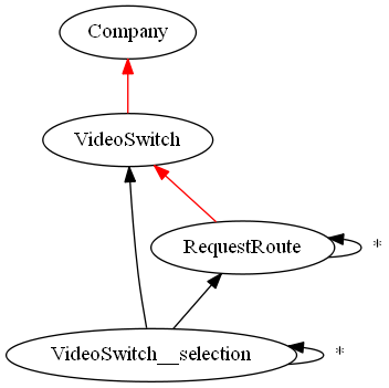 Company, VideoSwitch, RequestRoute, and VideoSwitch__selection