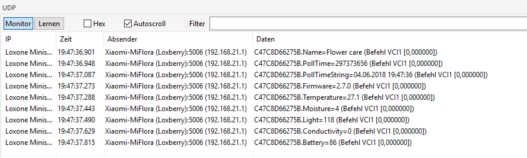 UDP-Monitor