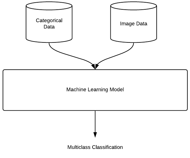 using categorical and images data