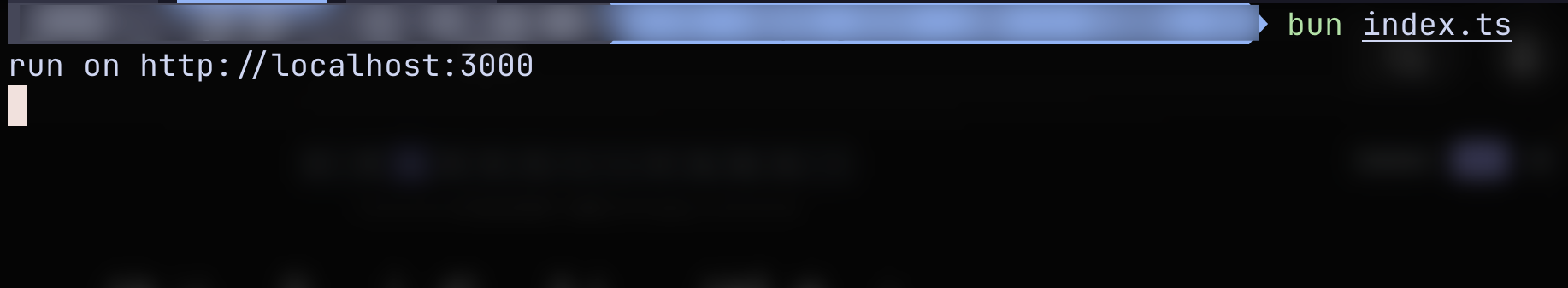 start server