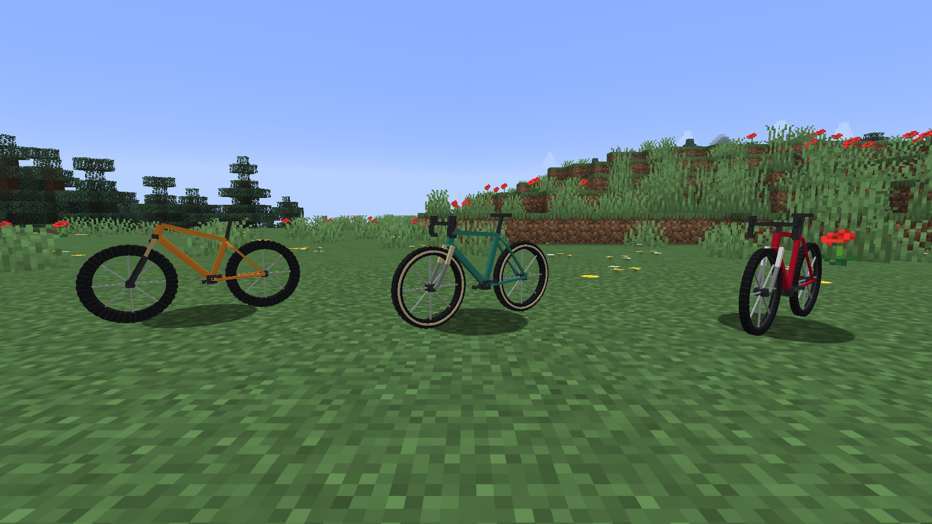 Road, gravel and mountain bikes
