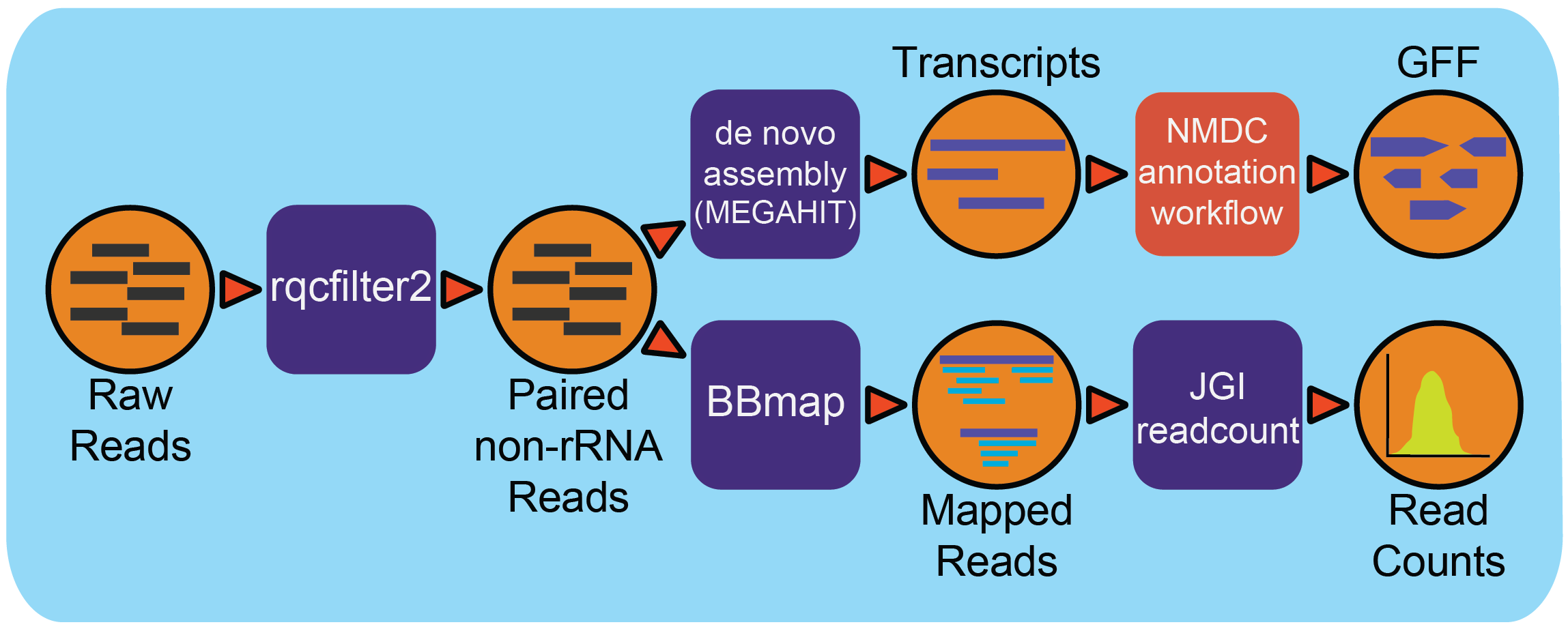 metatranscriptomics workflow