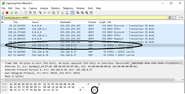 udpWiresharkPacket