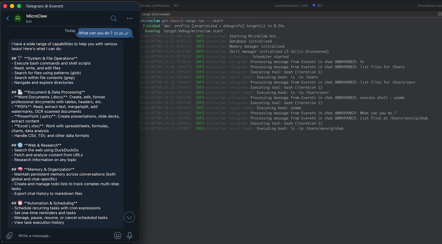 MicroClaw conversation view