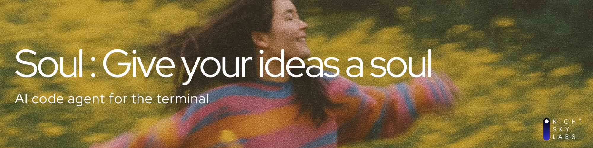 Soul CLI