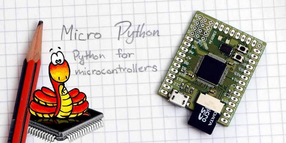 MicroPython Crypto Plug Logo