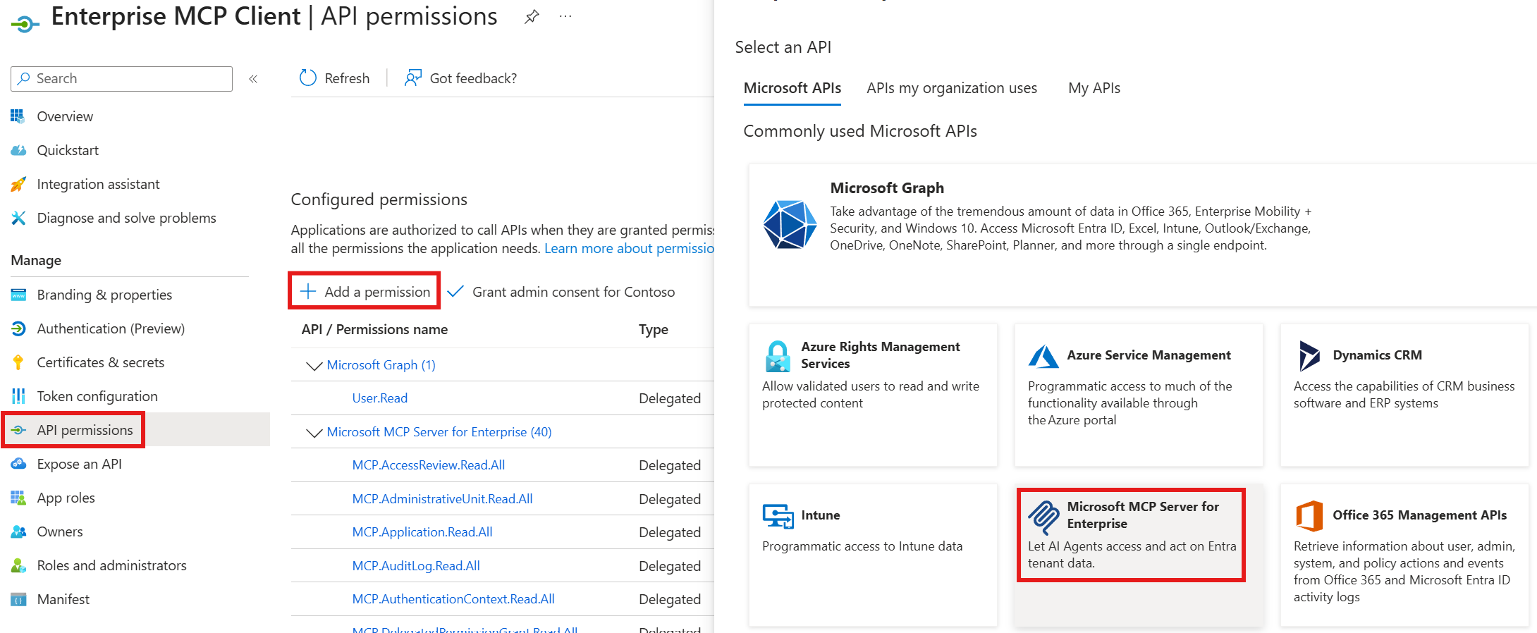 Associate MCP Client Permissions